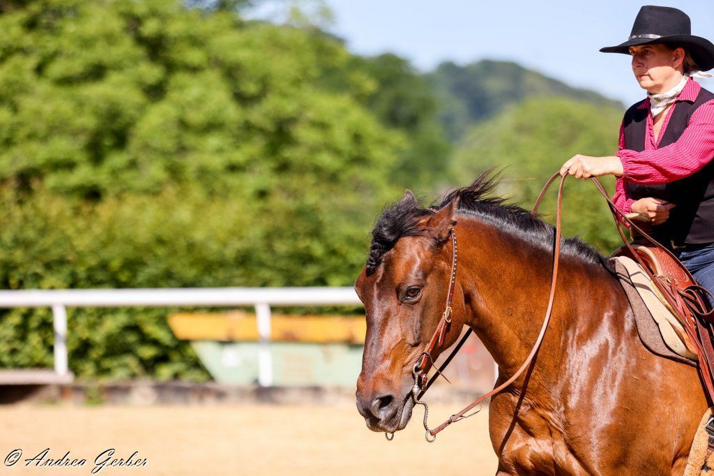 Swiss Ranch Horse Association - SRHA