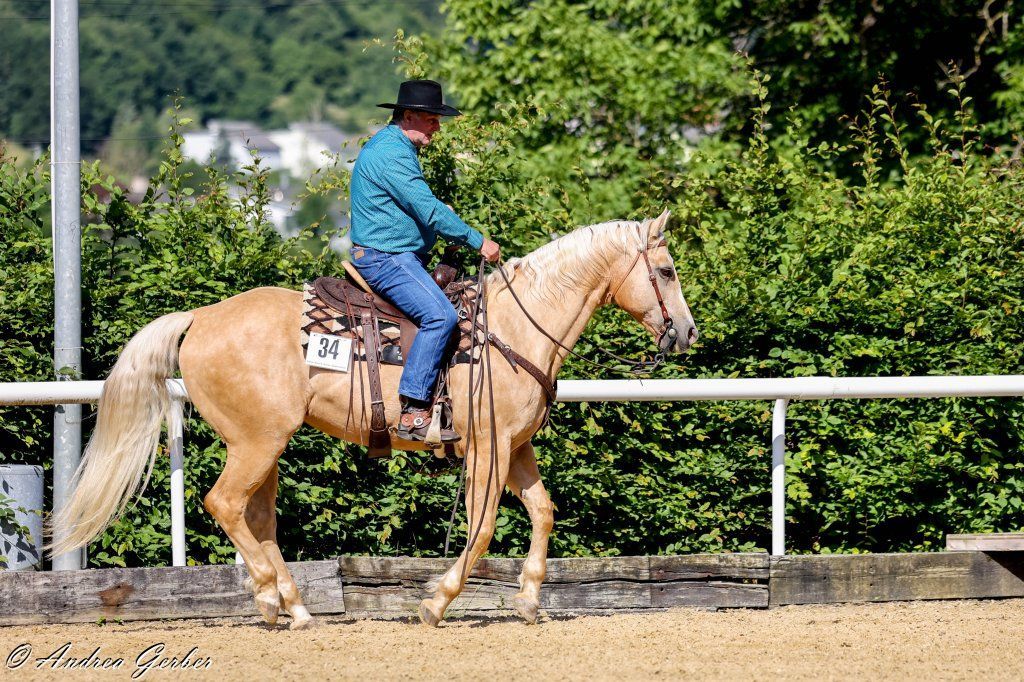 Swiss Ranch Horse Association - SRHA