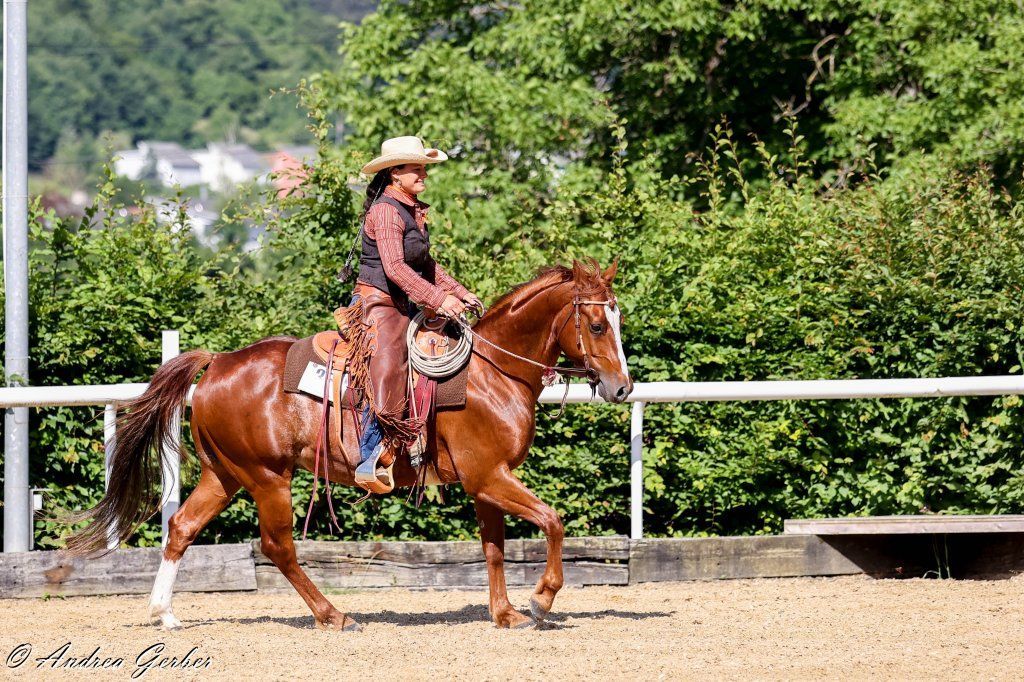 Swiss Ranch Horse Association - SRHA