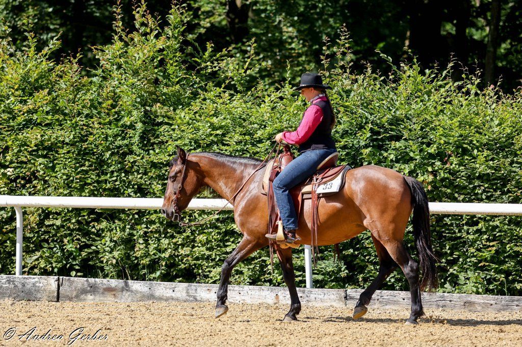 Swiss Ranch Horse Association - SRHA