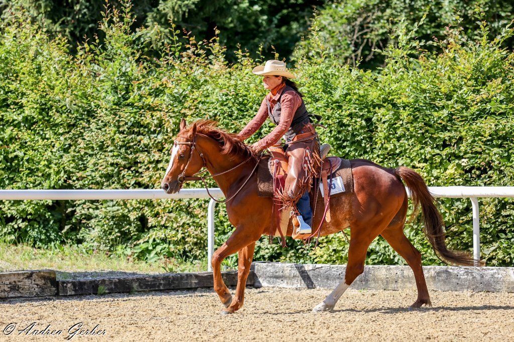 Swiss Ranch Horse Association - SRHA