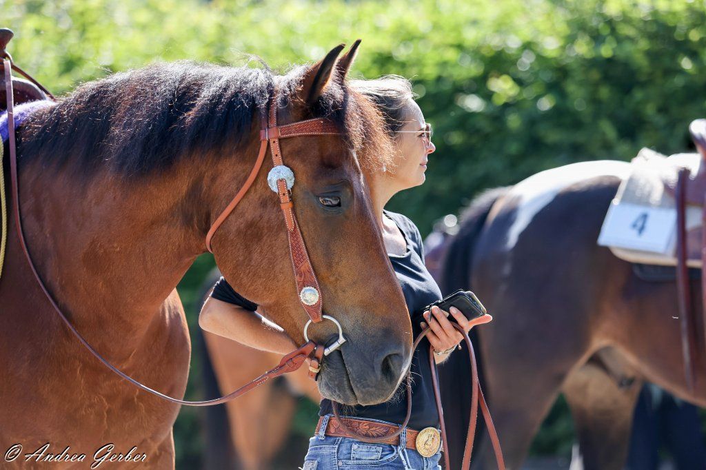 Swiss Ranch Horse Association - SRHA
