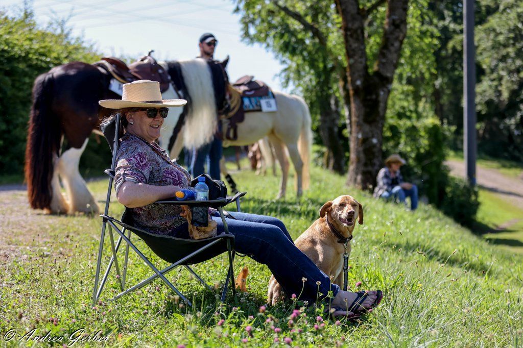 Swiss Ranch Horse Association - SRHA