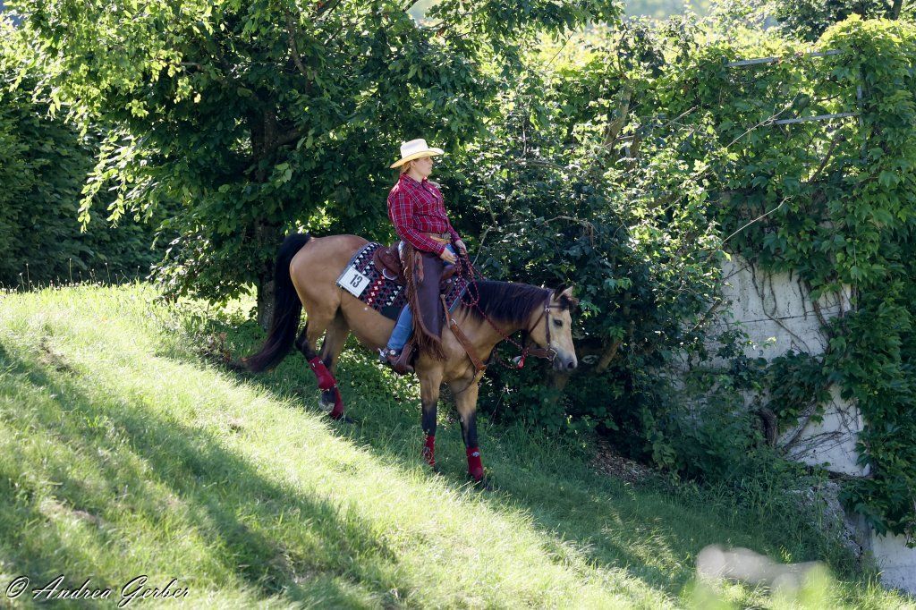 Swiss Ranch Horse Association - SRHA