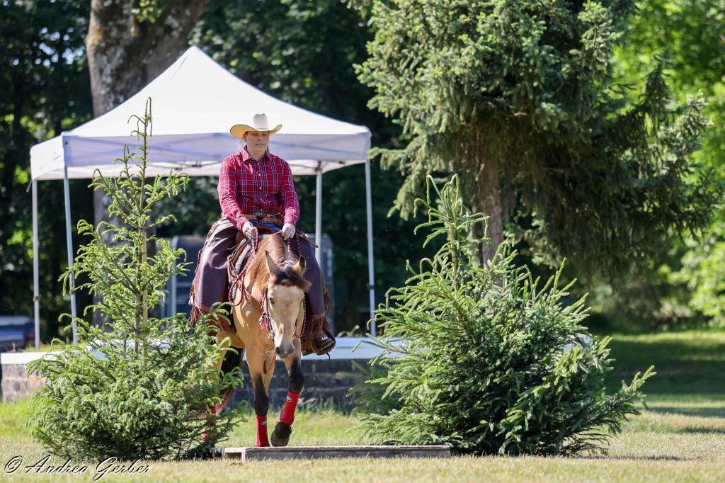 Swiss Ranch Horse Association - SRHA