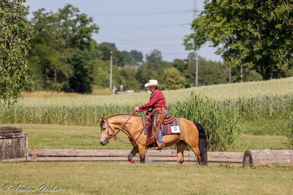 Swiss Ranch Horse Association - SRHA