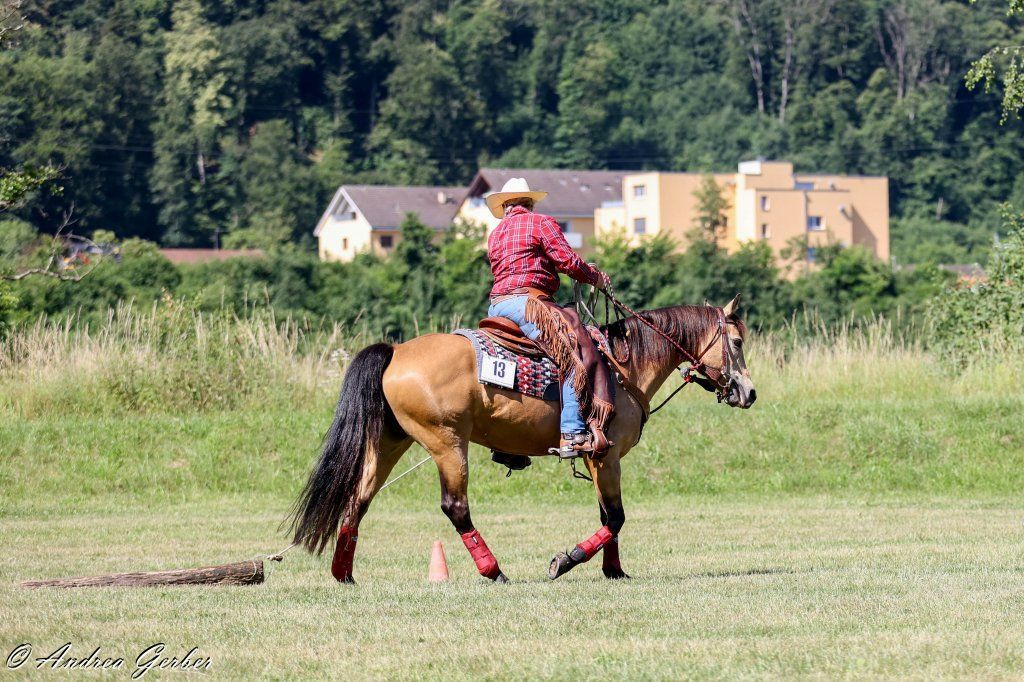 Swiss Ranch Horse Association - SRHA
