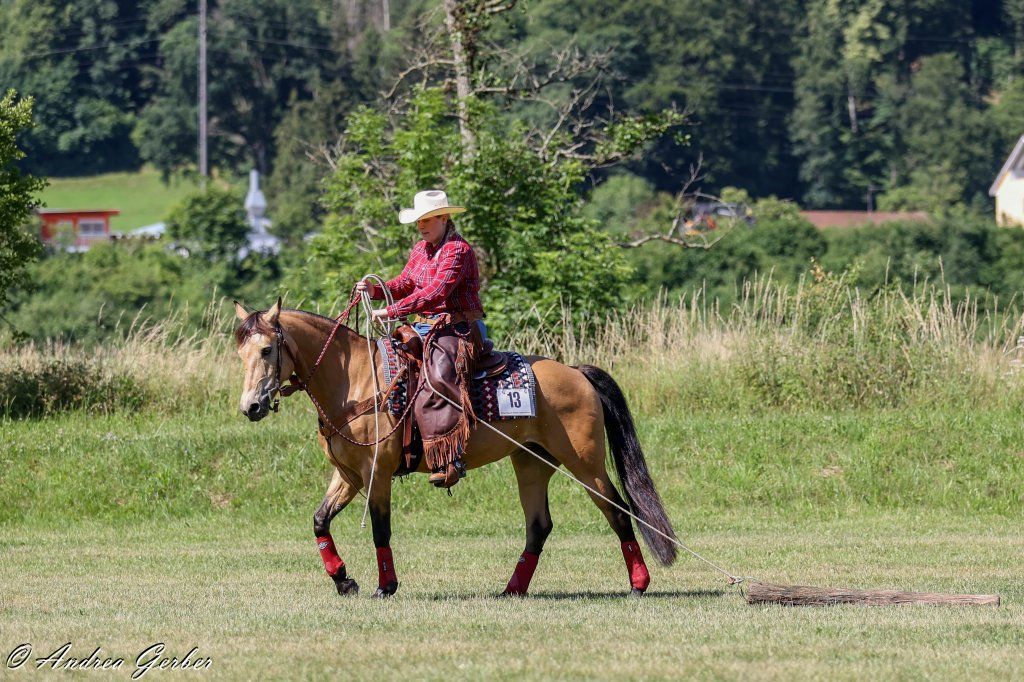 Swiss Ranch Horse Association - SRHA