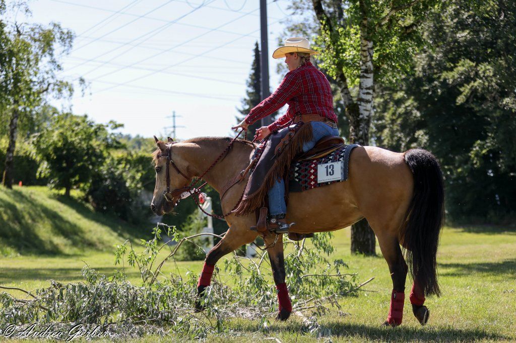 Swiss Ranch Horse Association - SRHA