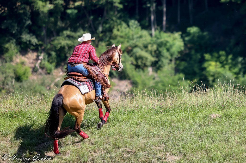 Swiss Ranch Horse Association - SRHA