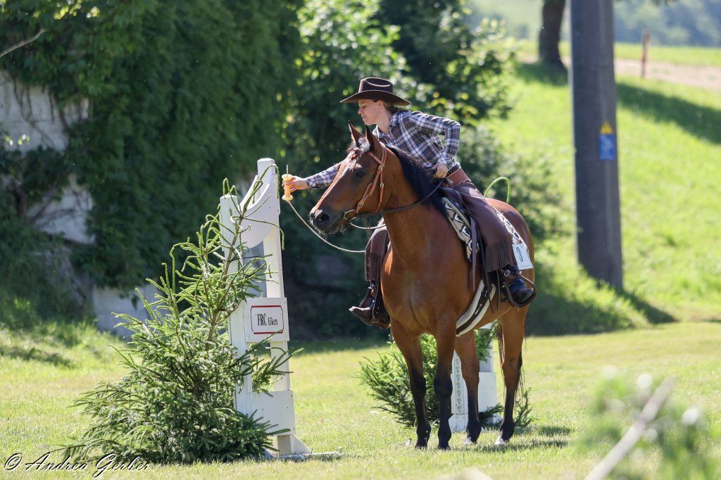 Swiss Ranch Horse Association - SRHA