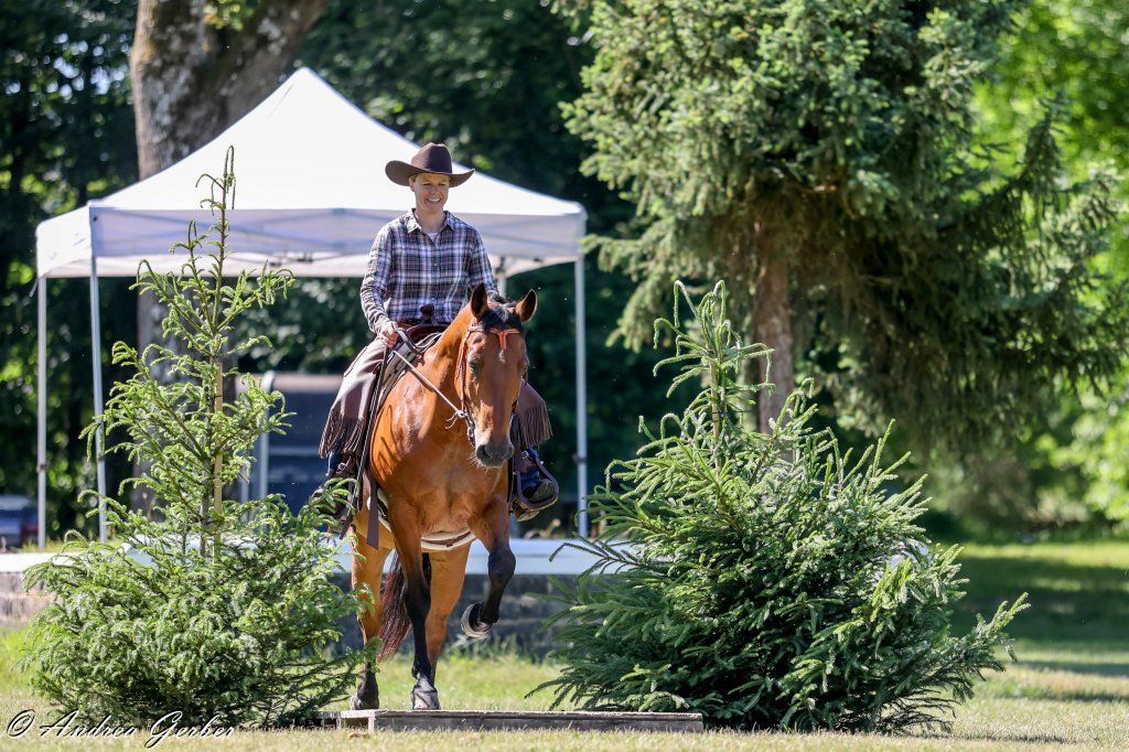 Swiss Ranch Horse Association - SRHA