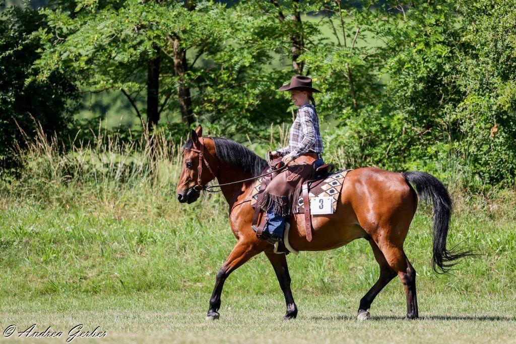 Swiss Ranch Horse Association - SRHA