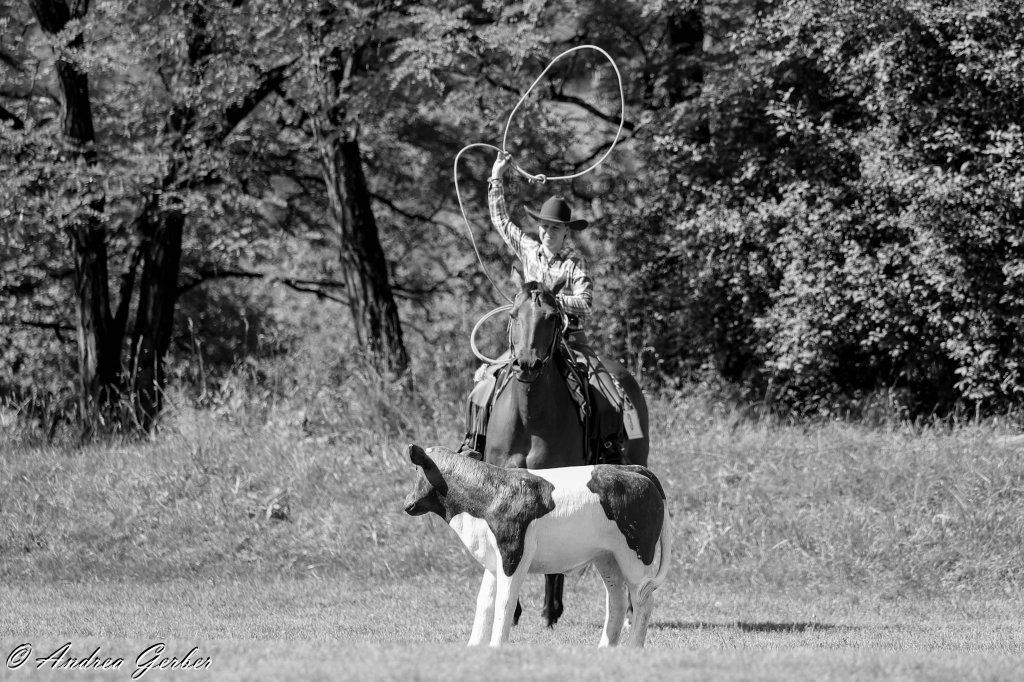 Swiss Ranch Horse Association - SRHA