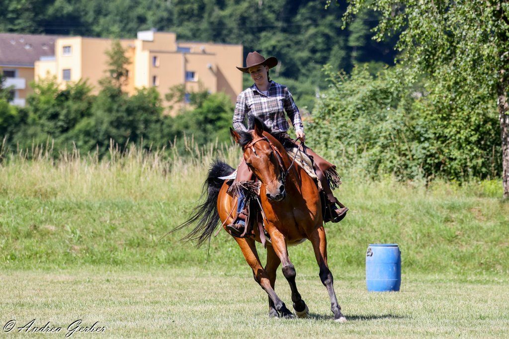 Swiss Ranch Horse Association - SRHA