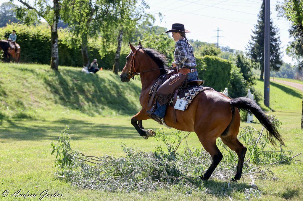 Swiss Ranch Horse Association - SRHA
