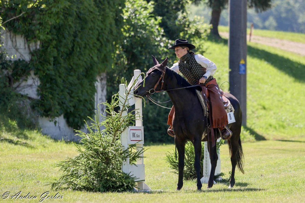 Swiss Ranch Horse Association - SRHA