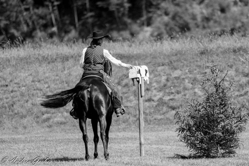 Swiss Ranch Horse Association - SRHA