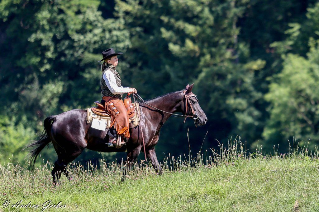 Swiss Ranch Horse Association - SRHA