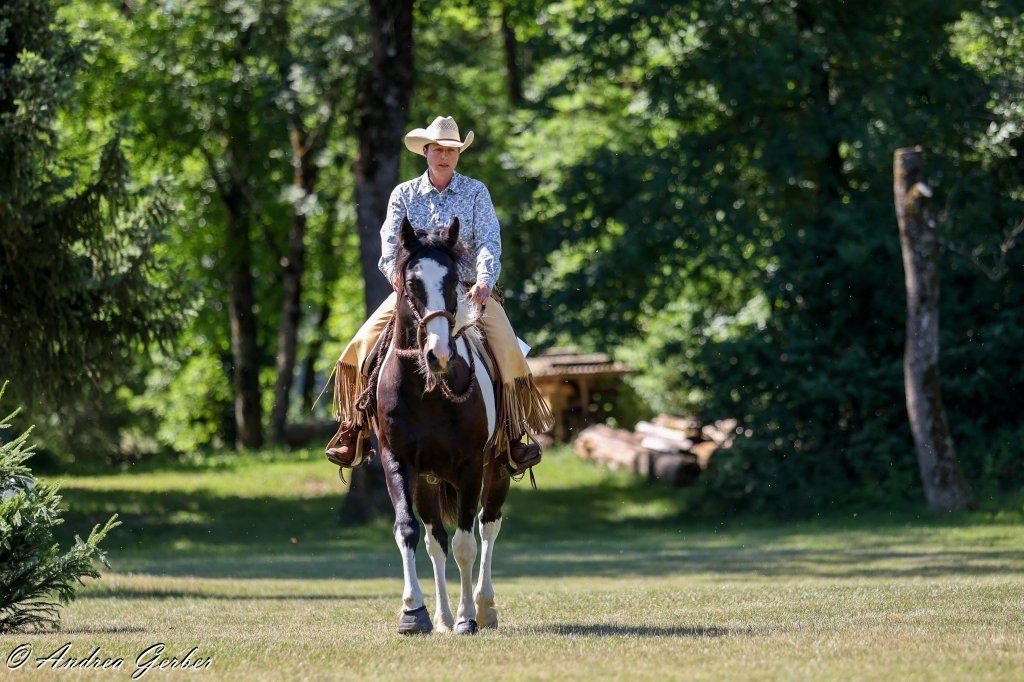 Swiss Ranch Horse Association - SRHA