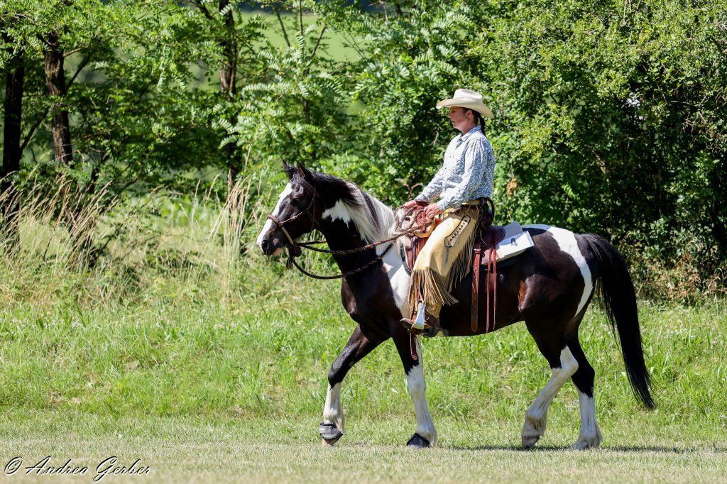 Swiss Ranch Horse Association - SRHA