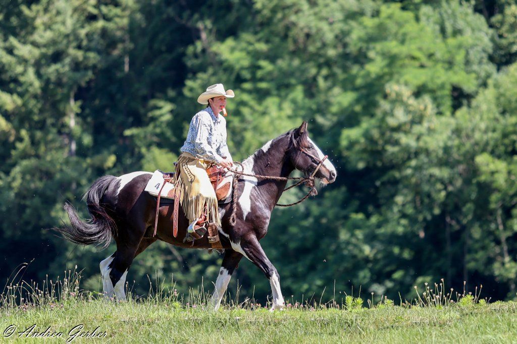 Swiss Ranch Horse Association - SRHA