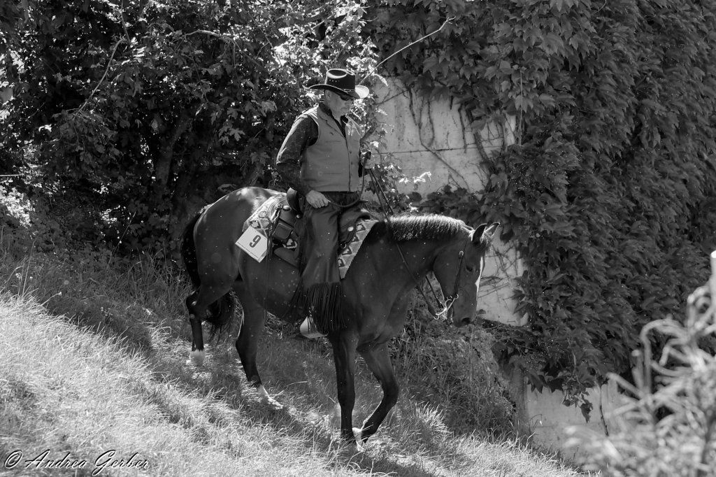 Swiss Ranch Horse Association - SRHA