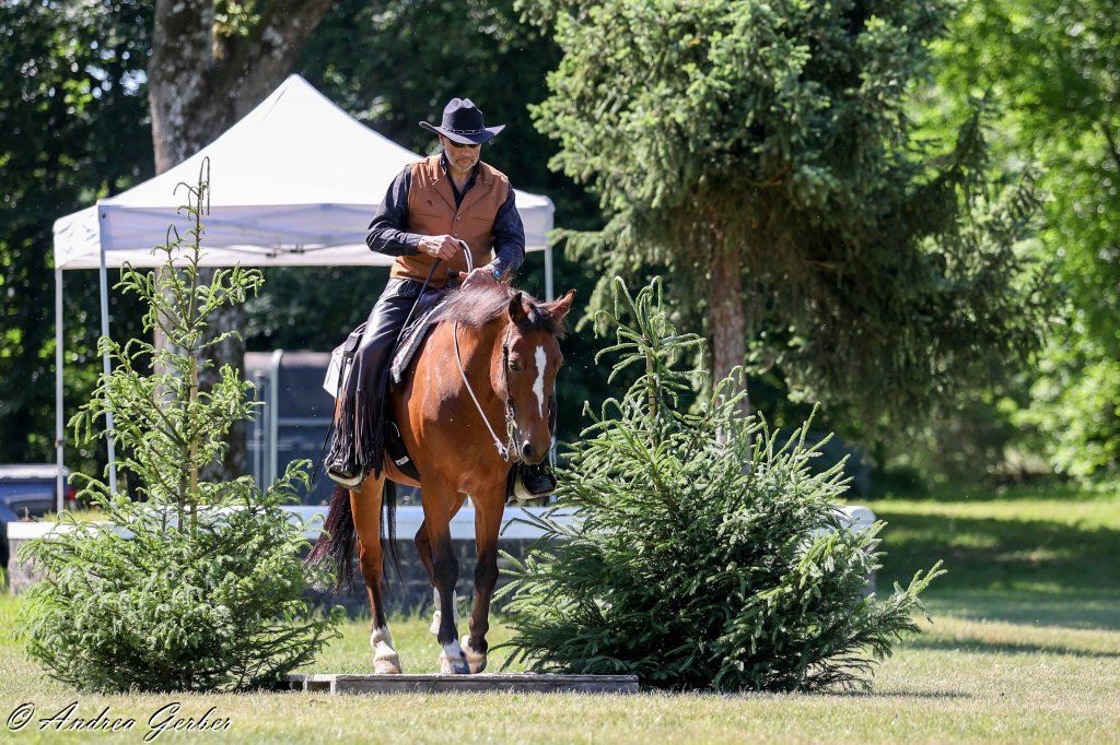 Swiss Ranch Horse Association - SRHA