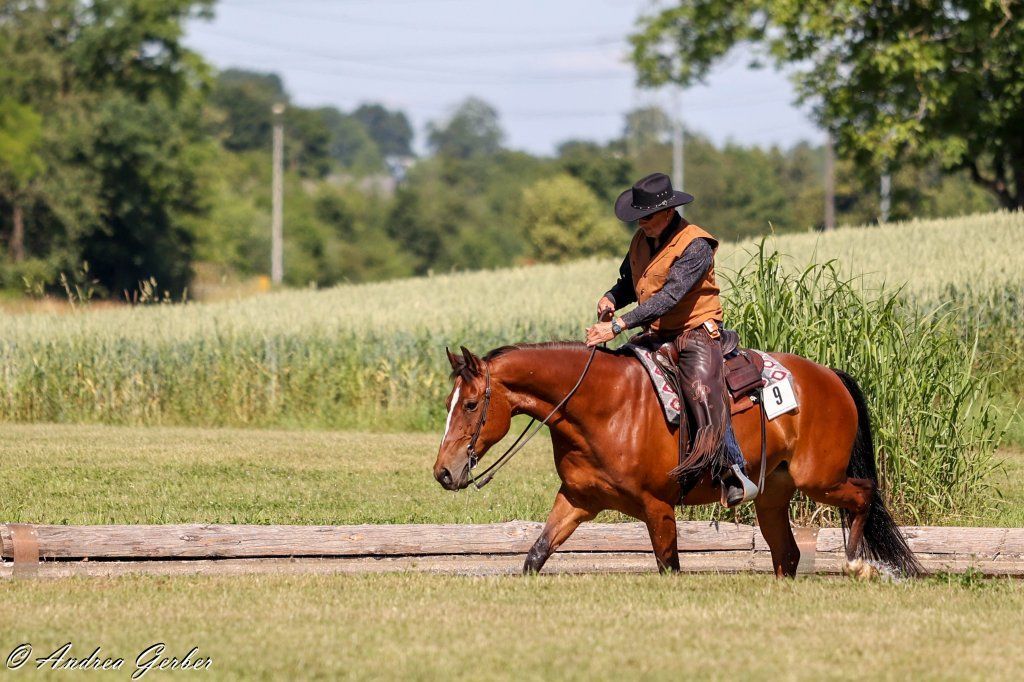 Swiss Ranch Horse Association - SRHA