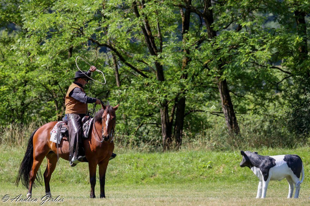 Swiss Ranch Horse Association - SRHA