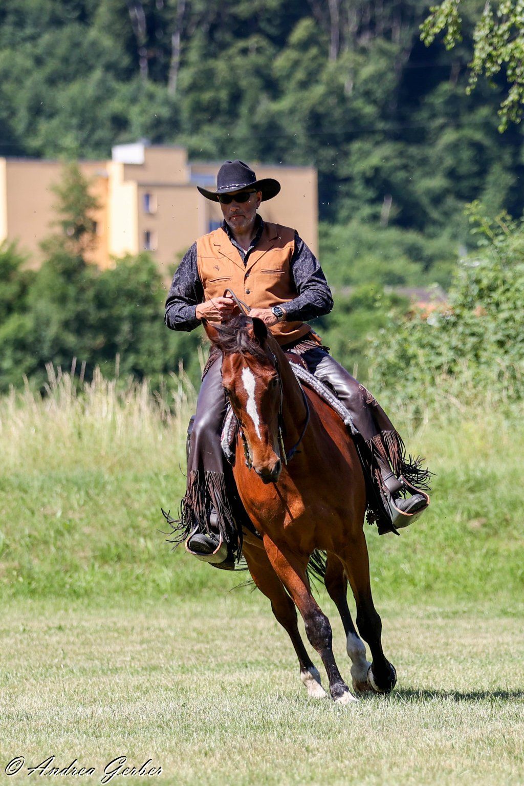 Swiss Ranch Horse Association - SRHA