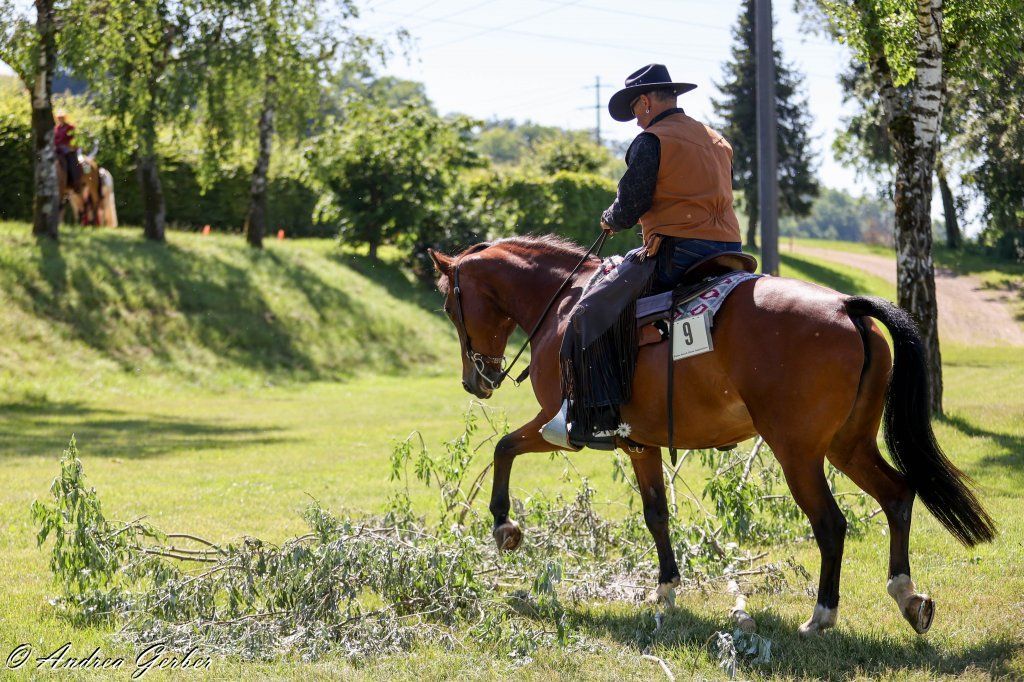 Swiss Ranch Horse Association - SRHA