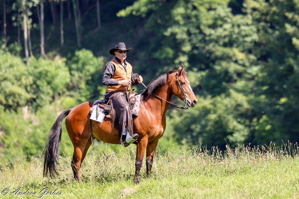 Swiss Ranch Horse Association - SRHA