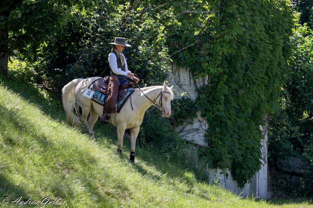 Swiss Ranch Horse Association - SRHA