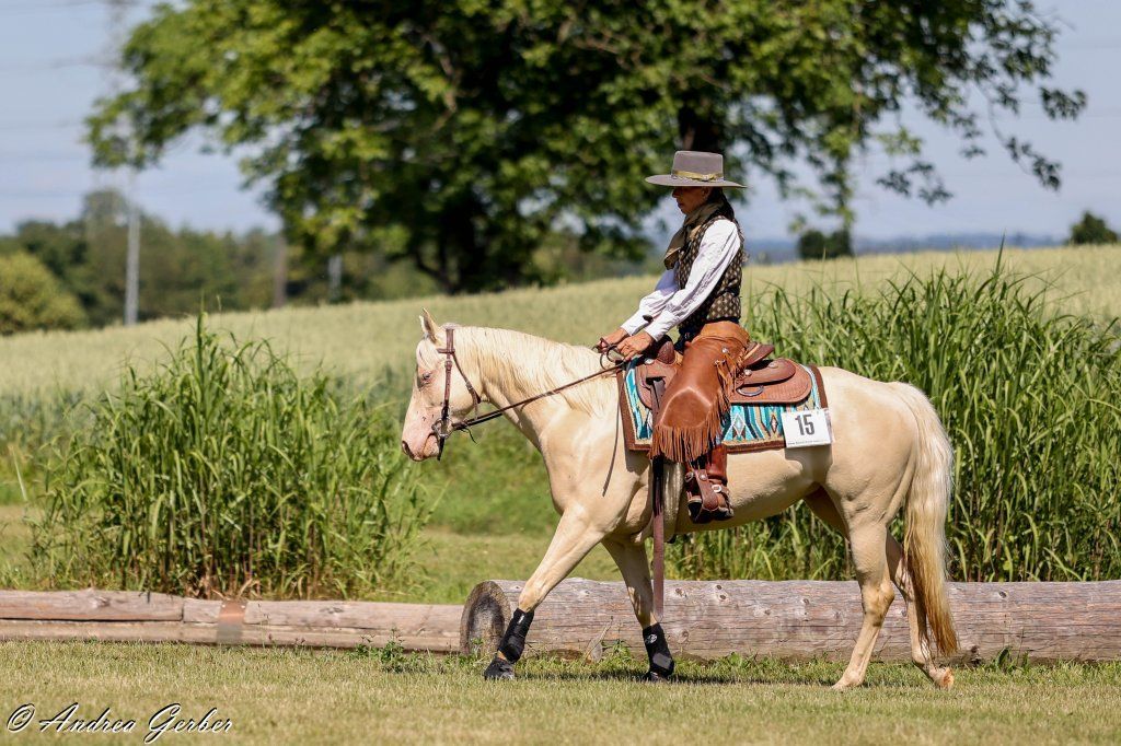 Swiss Ranch Horse Association - SRHA