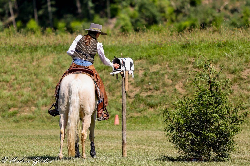 Swiss Ranch Horse Association - SRHA