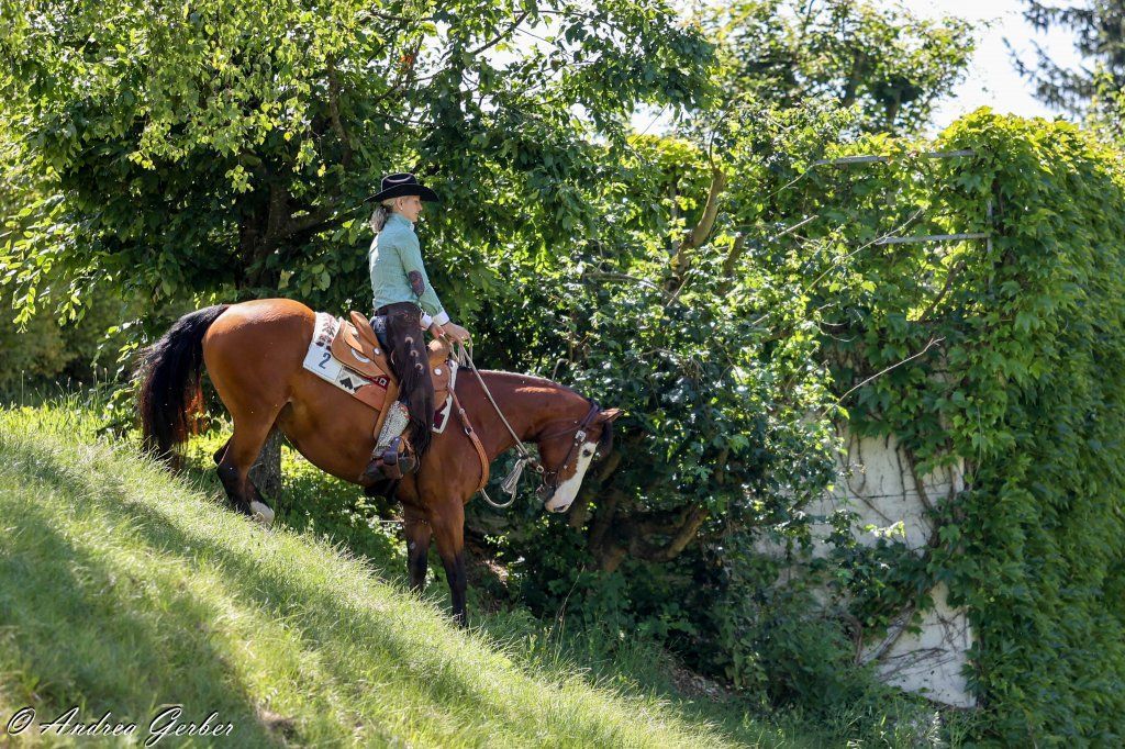 Swiss Ranch Horse Association - SRHA