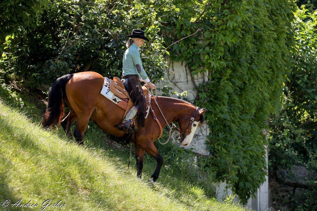 Swiss Ranch Horse Association - SRHA