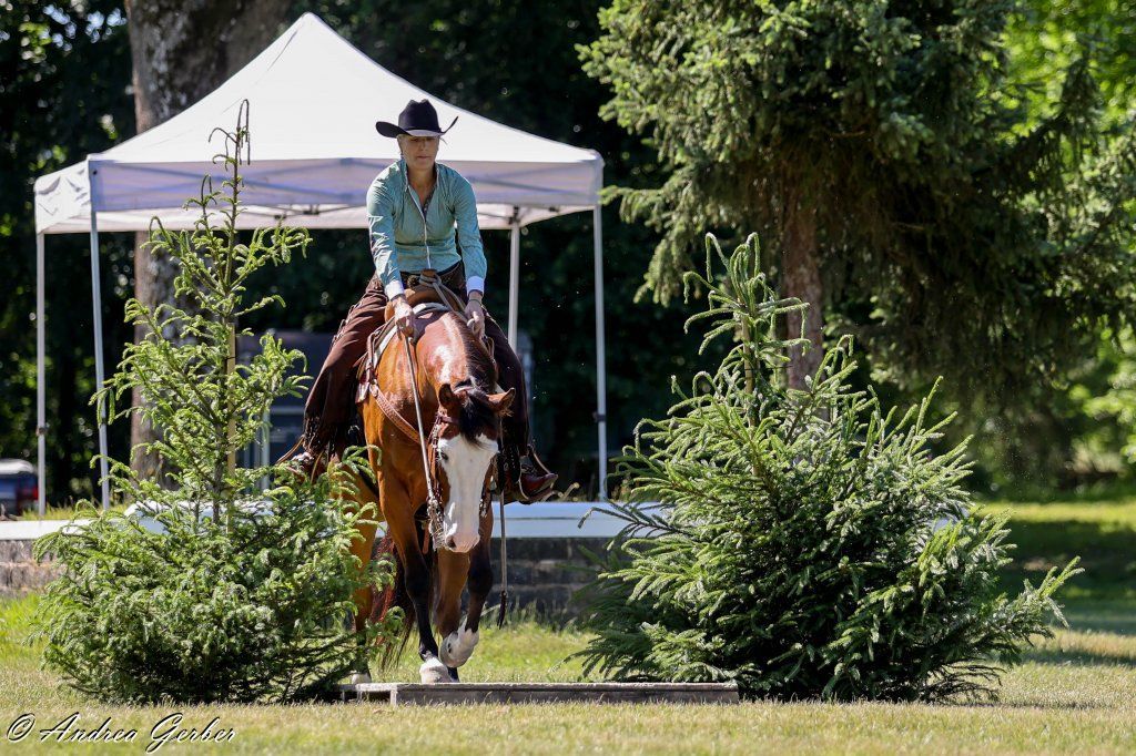 Swiss Ranch Horse Association - SRHA