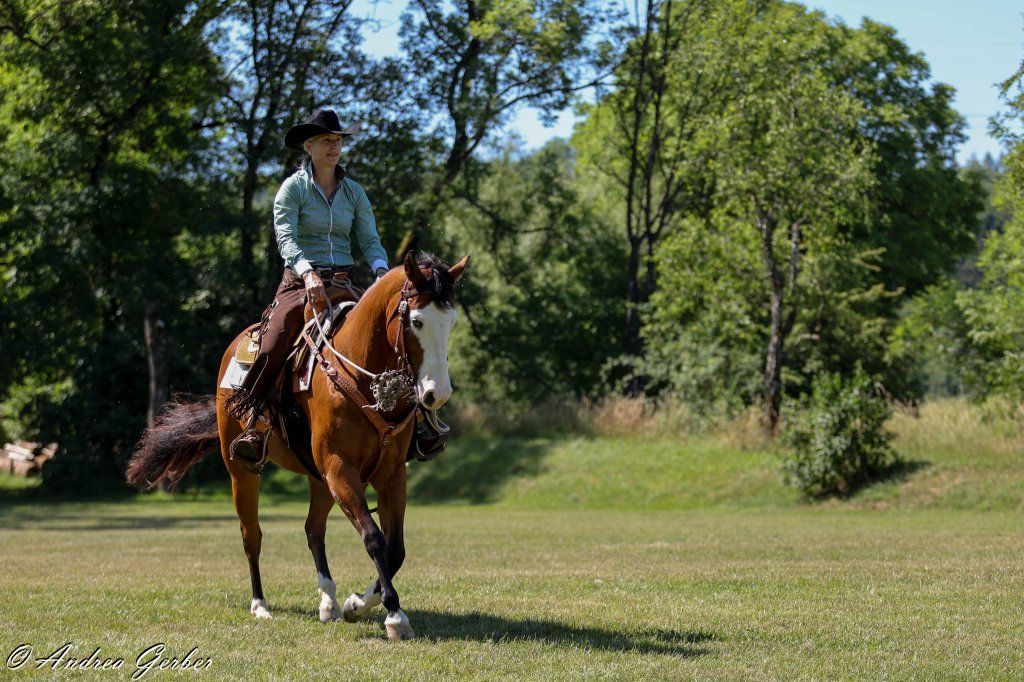 Swiss Ranch Horse Association - SRHA