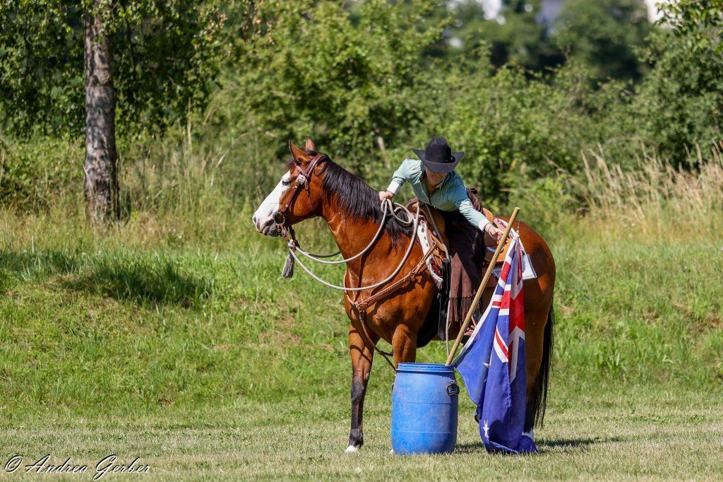 Swiss Ranch Horse Association - SRHA