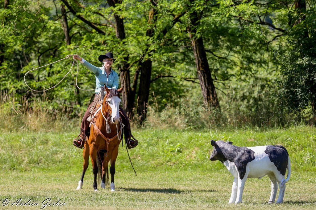 Swiss Ranch Horse Association - SRHA