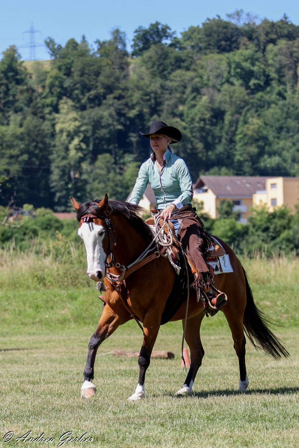 Swiss Ranch Horse Association - SRHA