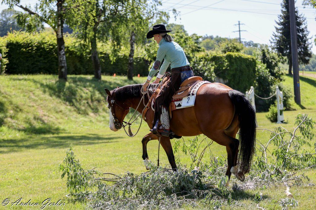 Swiss Ranch Horse Association - SRHA