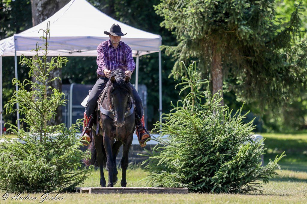 Swiss Ranch Horse Association - SRHA