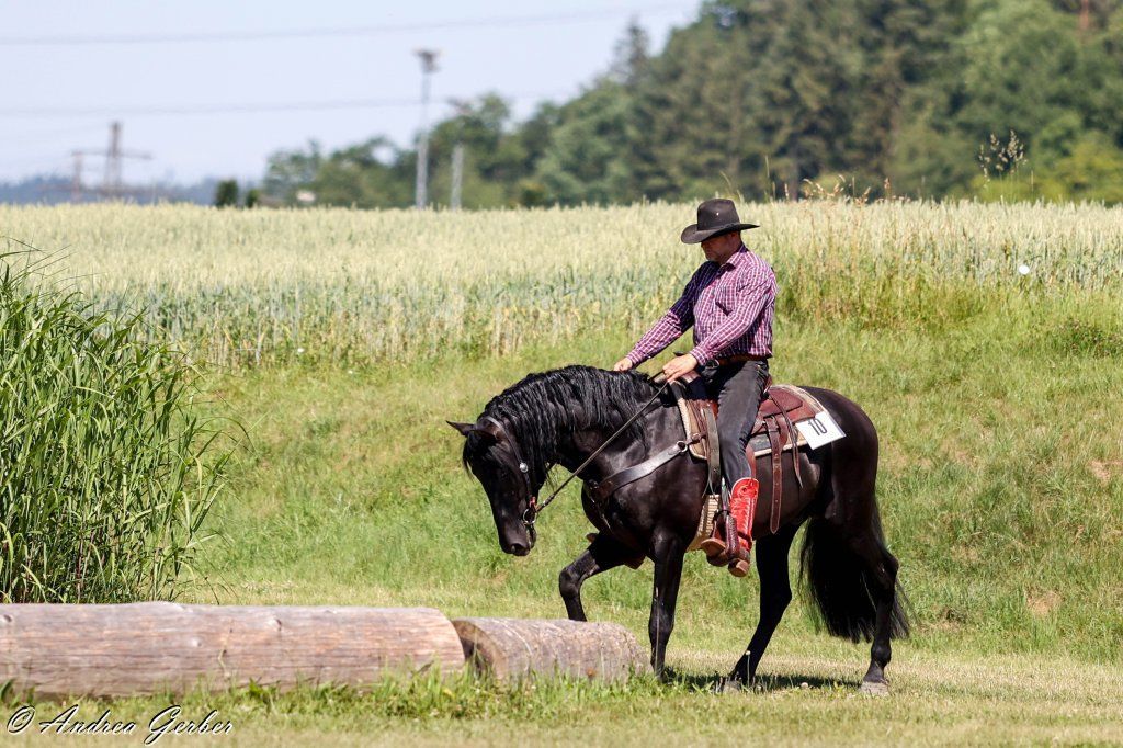Swiss Ranch Horse Association - SRHA