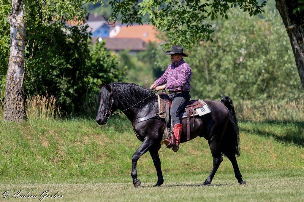 Swiss Ranch Horse Association - SRHA