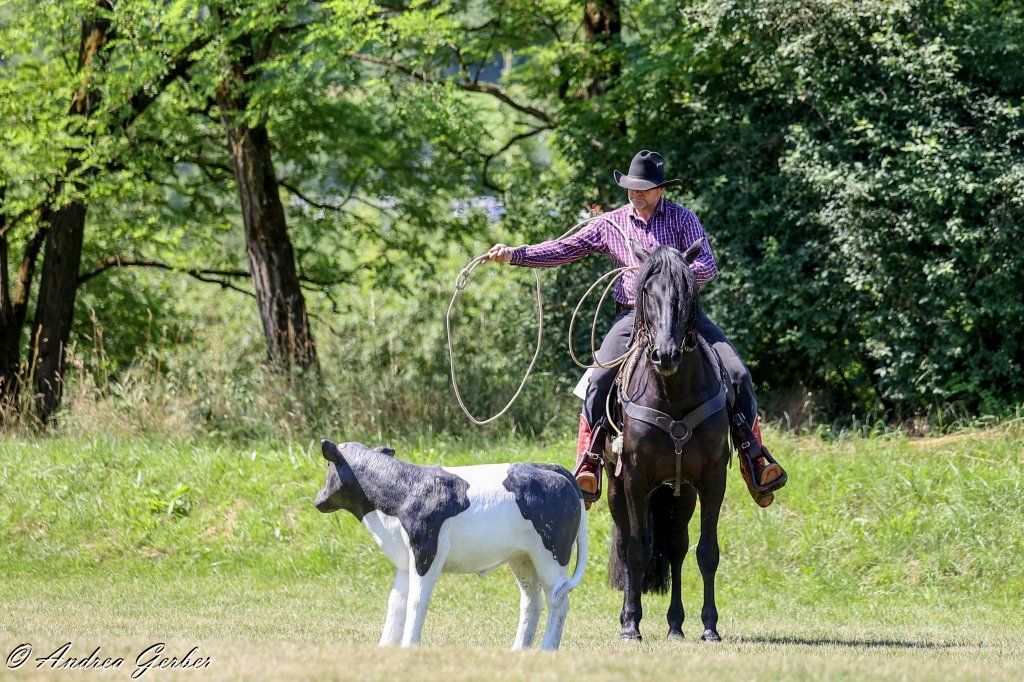 Swiss Ranch Horse Association - SRHA