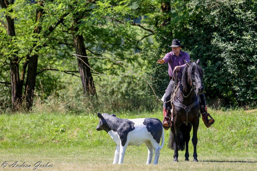 Swiss Ranch Horse Association - SRHA