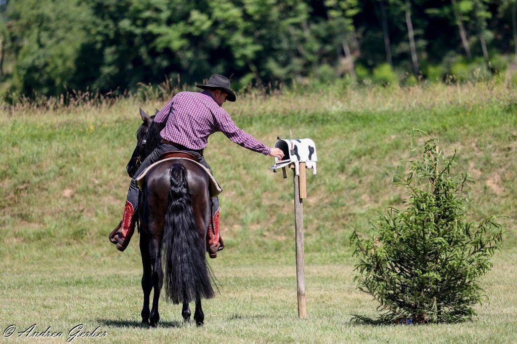 Swiss Ranch Horse Association - SRHA